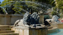 samedimatin (44)